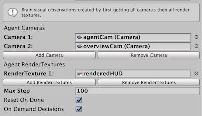 Agent Camera and RenderTexture combination