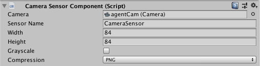 Agent Camera