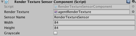 Agent RenderTexture