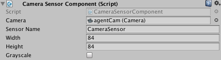 Agent Camera